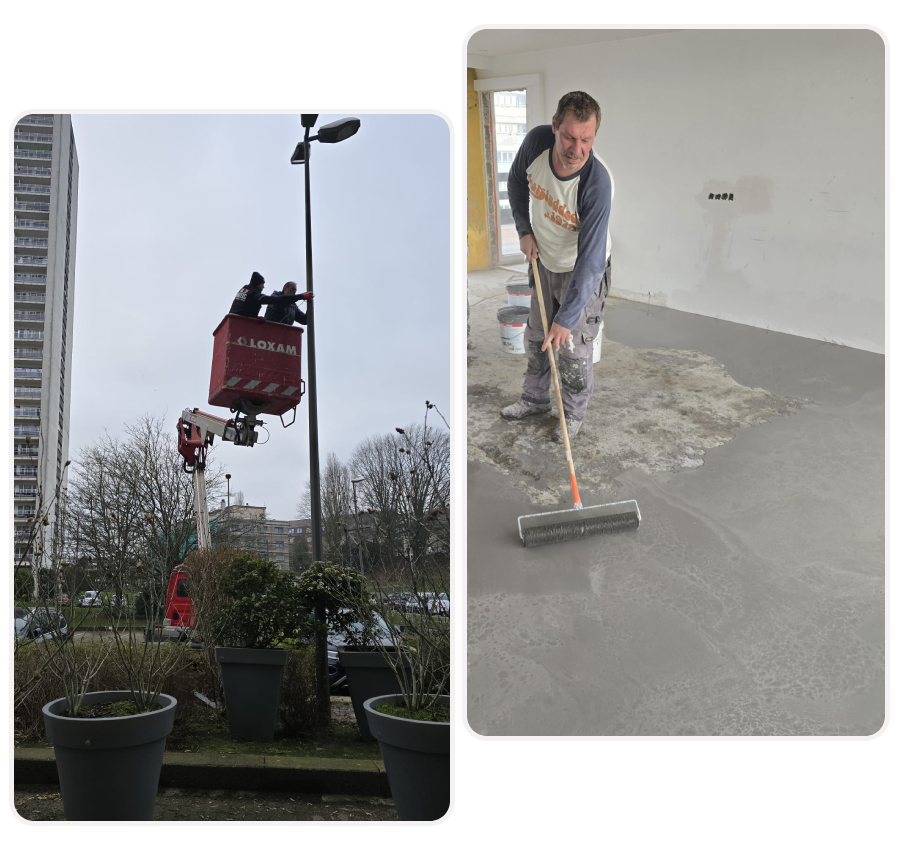 travail-collaboratif-dalicia-belgume travail-collaboratif-dalicia-belgume